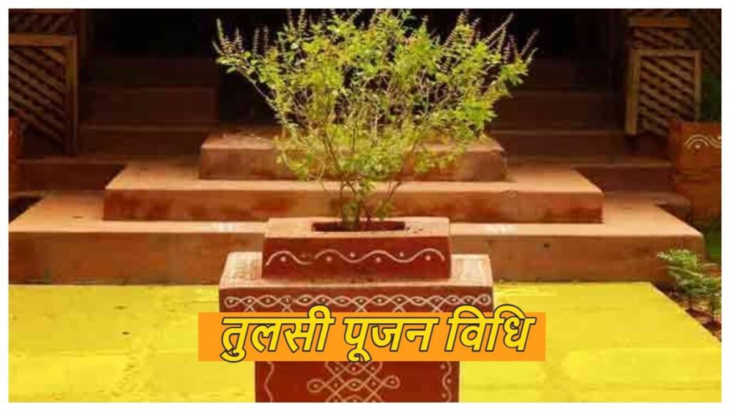 Tulsi Poojan Vidhi