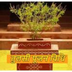 Tulsi Poojan Vidhi