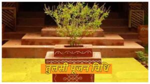 Tulsi Poojan Vidhi