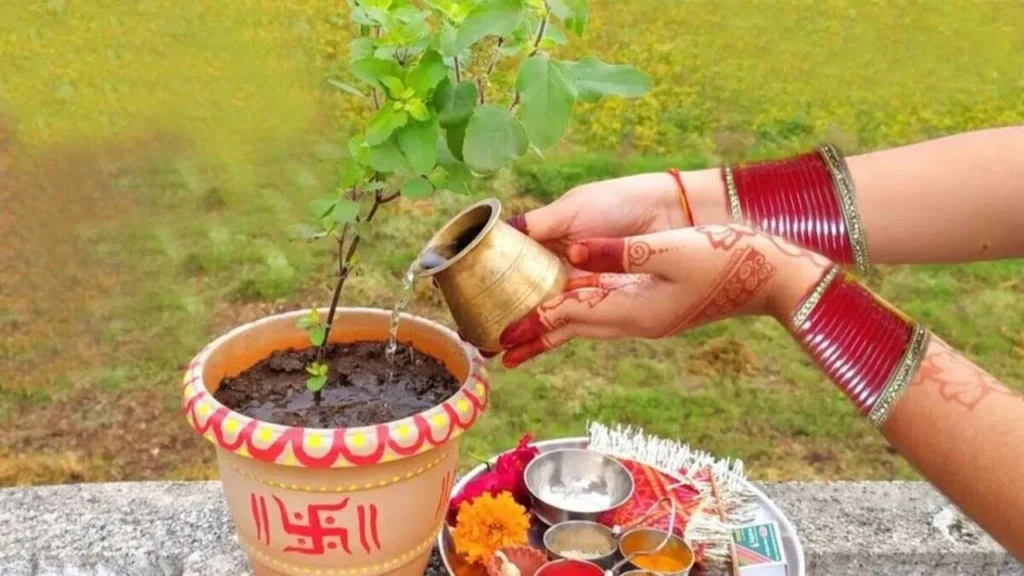 Tulsi Pujan ka Shubh Muhurat