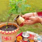 Tulsi Pujan ka Shubh Muhurat
